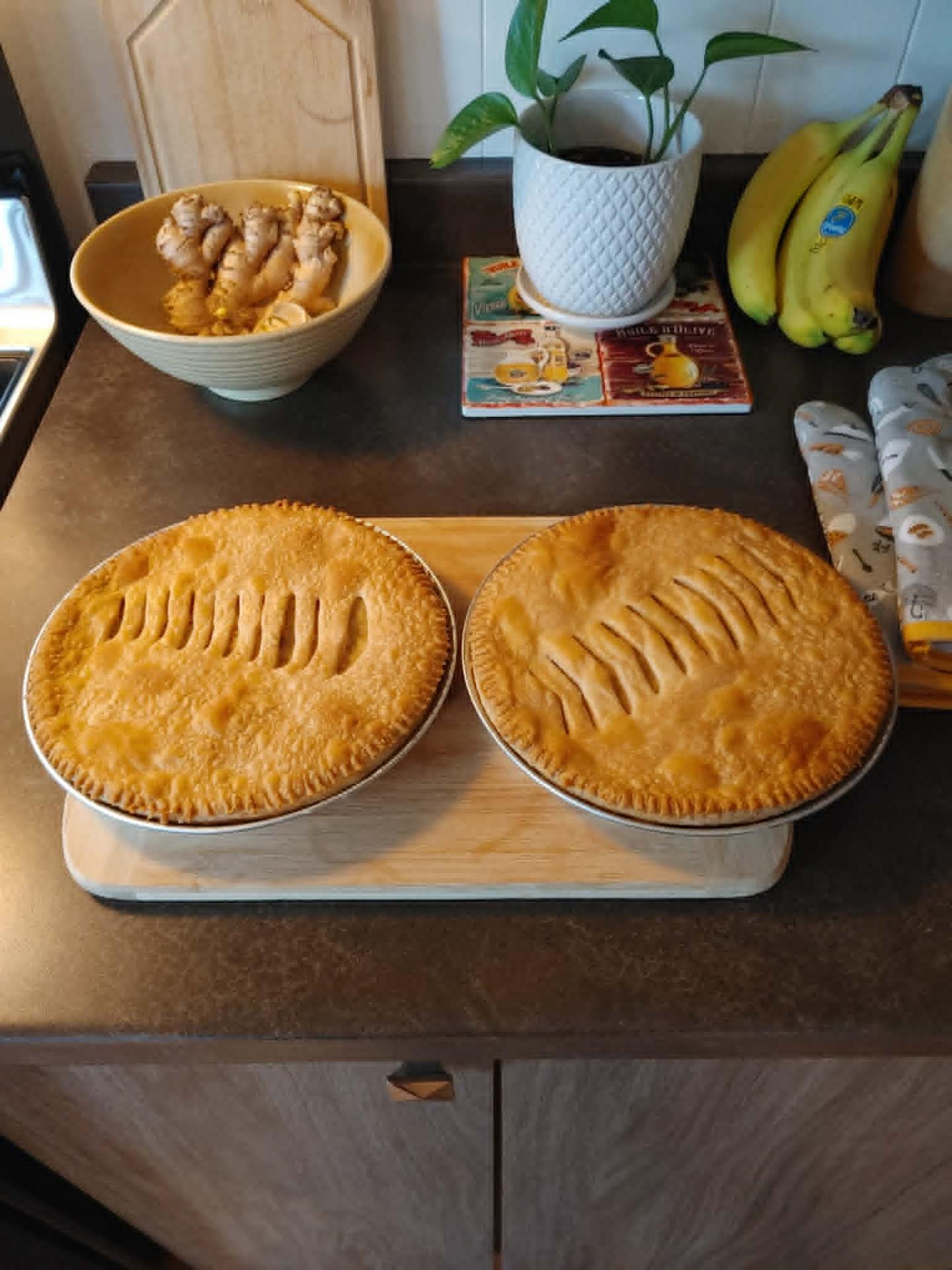 2 pates au saumon